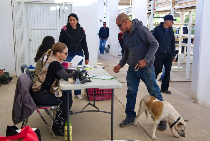 Lleva Gobernador Durazo atenciones veterinarias gratuitas y cirugías de esterilización al norte de Hermosillo